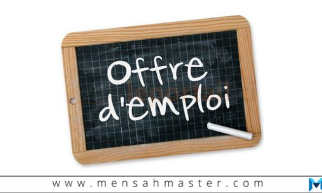 Emploi : Community Manager img