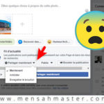 Comment-contourner-l’absence-du-bouton-«-Programmer-»-sur-Facebook