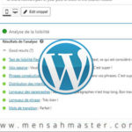 Piratage-de-sites-Wordpress-précautions-et-solutions-pour-lutter-contre-les-hackeurs