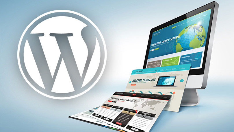 Piratage-de-sites-Wordpress-précautions-et-solutions-pour-lutter-contre-les-hackeurs-2