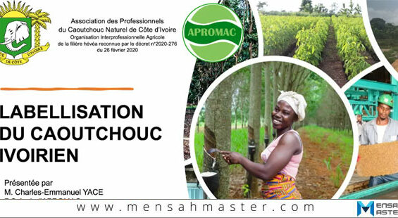 Labelisation-du-caoutchouc-ivoirien