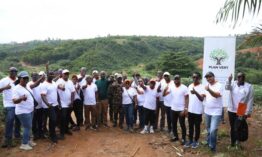 CÔTE D’IVOIRE : BANQUE ATLANTIQUE RENFORCE SON ENGAGEMENT ENVIRONNEMENTAL AVEC LA TROISIÈME PHASE DU PROGRAMME  « PLAN VERT »